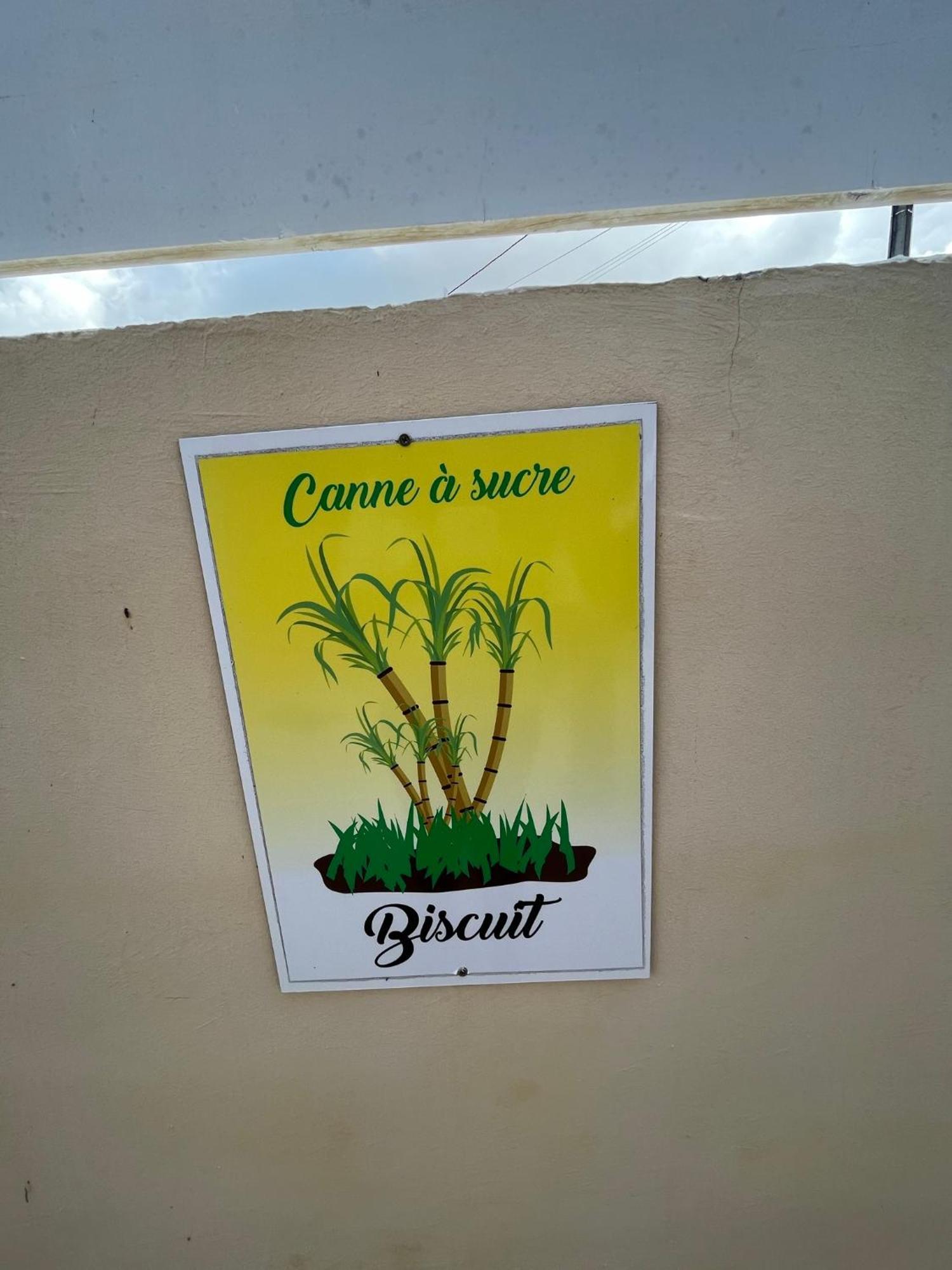 Biscuit - Gite Du Moulin Petit-Canal エクステリア 写真